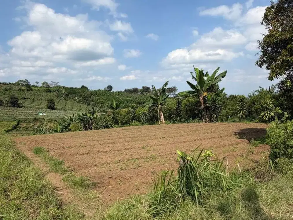 Cari Tanah Luas Buat Villa atau investasi di Kota Batu? 1.500 m² Siap Dikembangkan