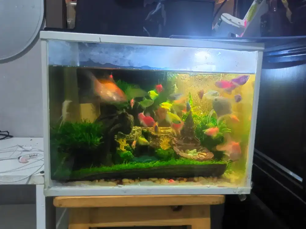 Dijual AQUARIUM