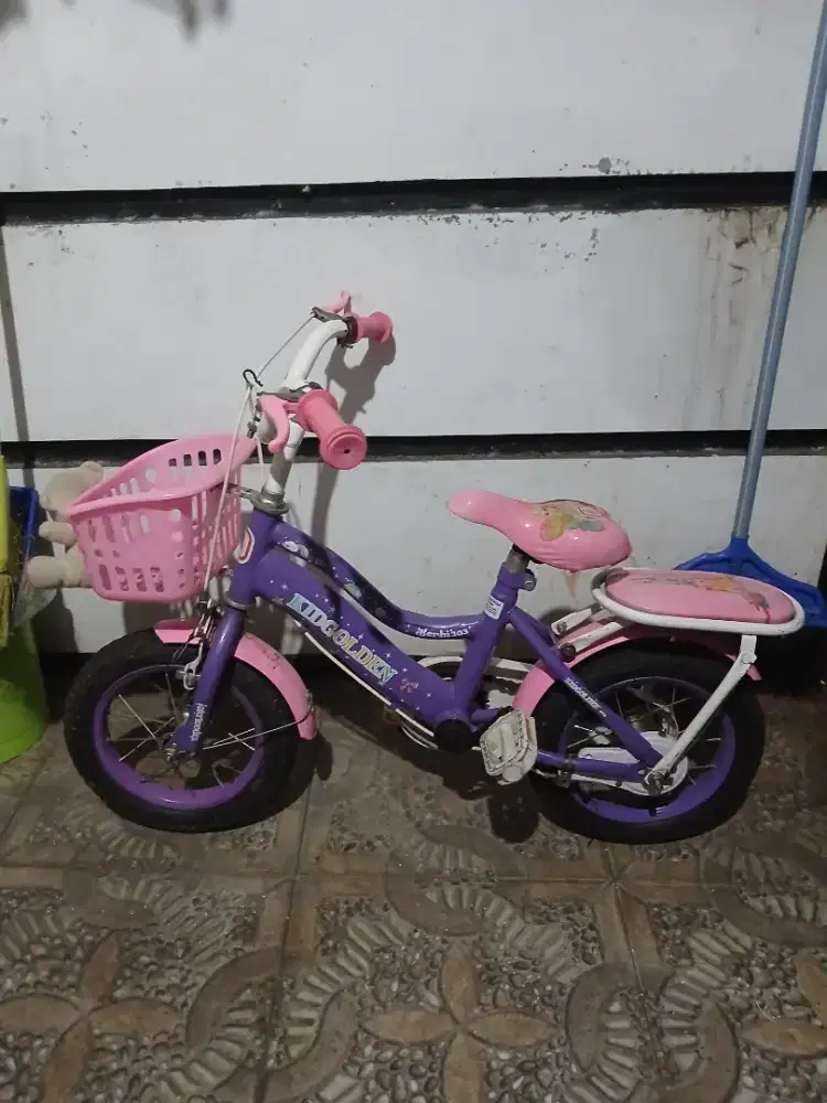 Sepeda anak kecil