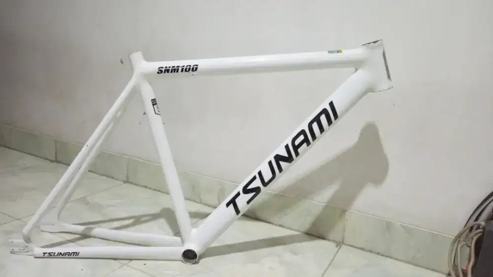 frame custom tsunami fixie