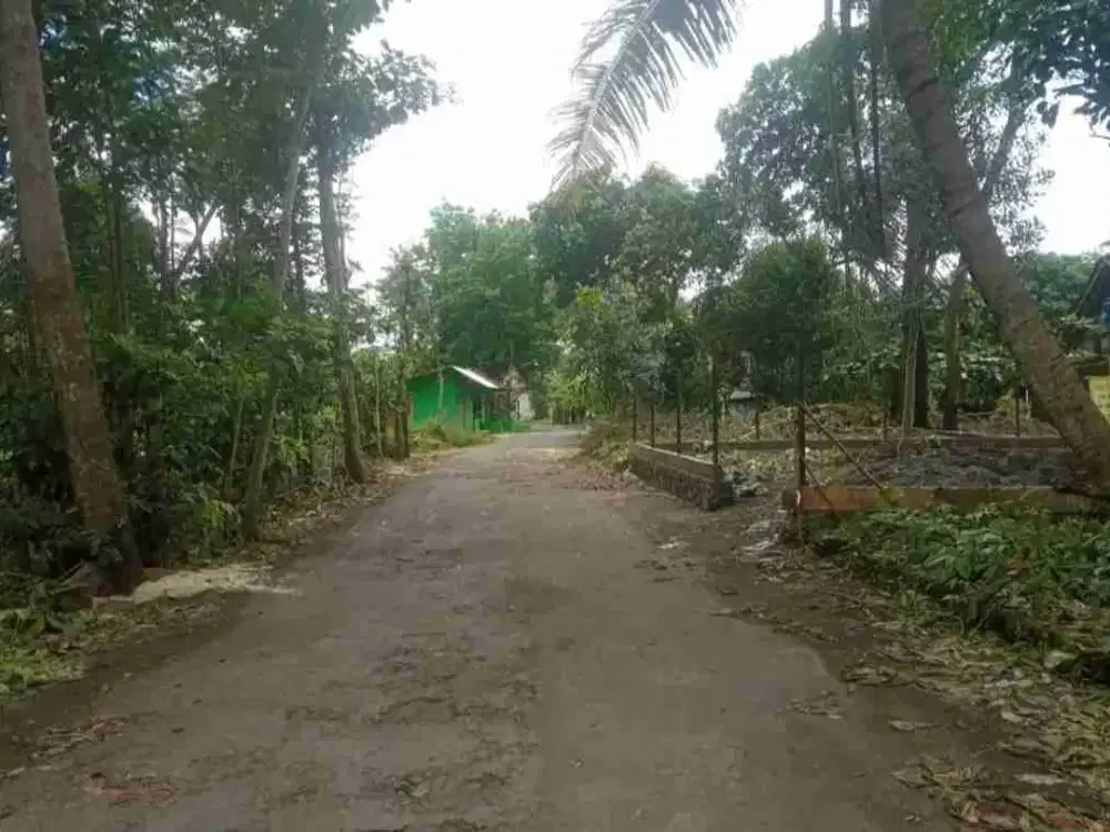 jual tanah kosong timur budimulia2 Wedomartani ngemplak