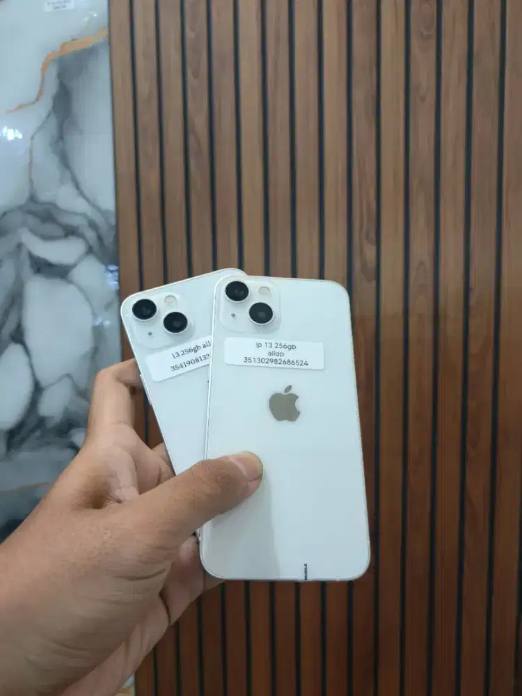 iPhone 13 256 inter