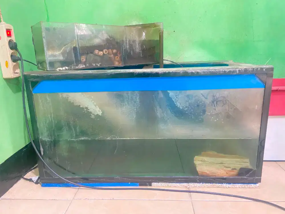 Aquarium UK 80*40*40 tebal 12mm ,