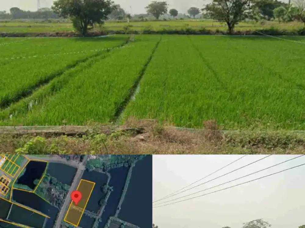 Tanah sawah, Cerme, Gresik, Murah