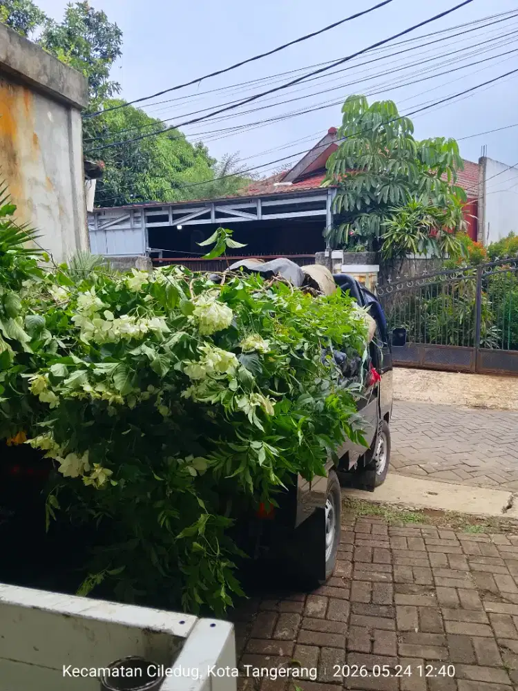 Tanaman nusa indah