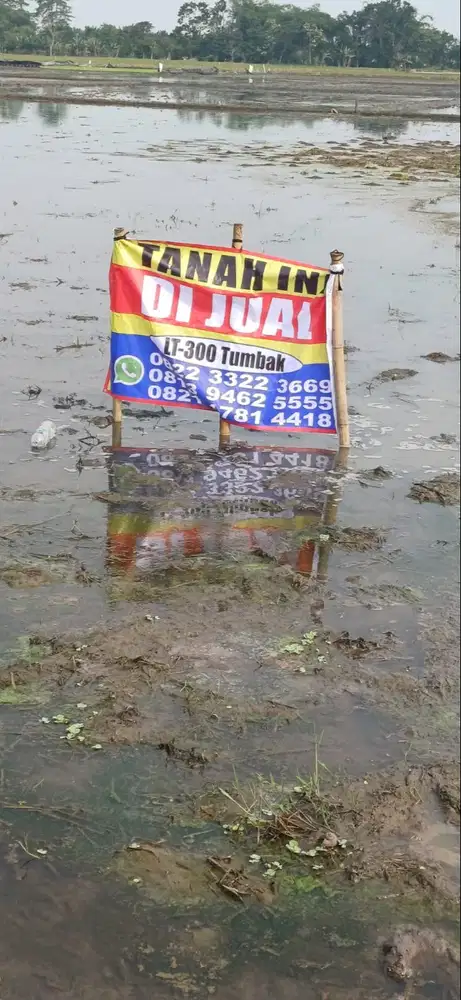 Dijual tanah 300 tumbak bandung tegalluar dekat whoosh