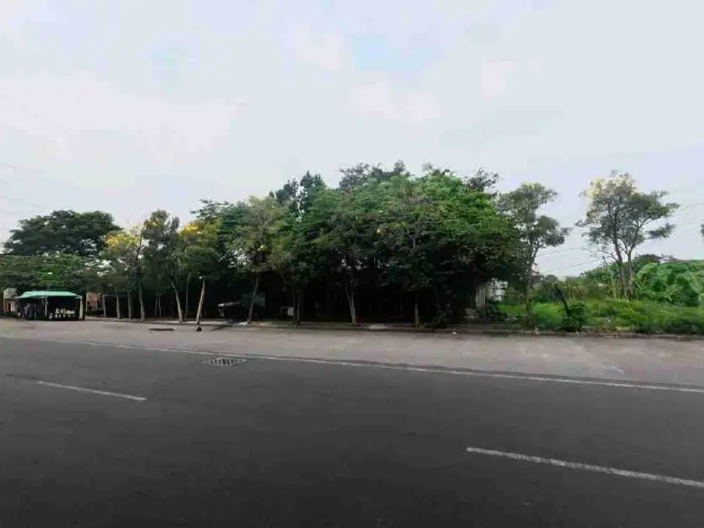 Dijual Tanah Raya Sememi Nol Jalan Raya