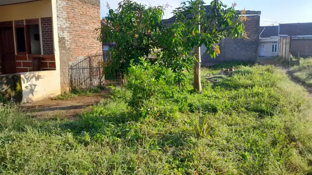Di jual Tanah 4 tumbak