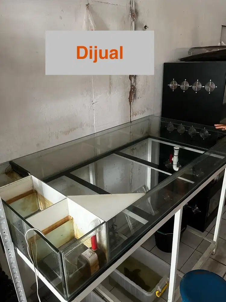 Aquarium pendek kura kura