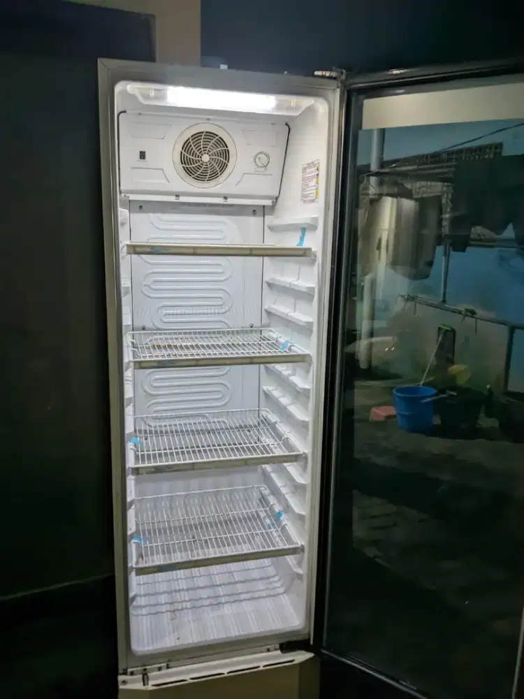 Showcase Polytron 231L