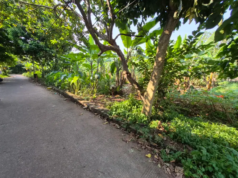 Dijual Tanah Siap Bangun Posisi Hook Di Pancoran Mas Kota Depok