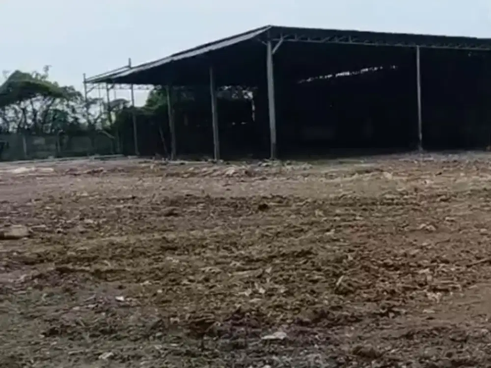 Disewakan Cepat Tanah Kavling Industri Murah Paku Haji Siap Pakai