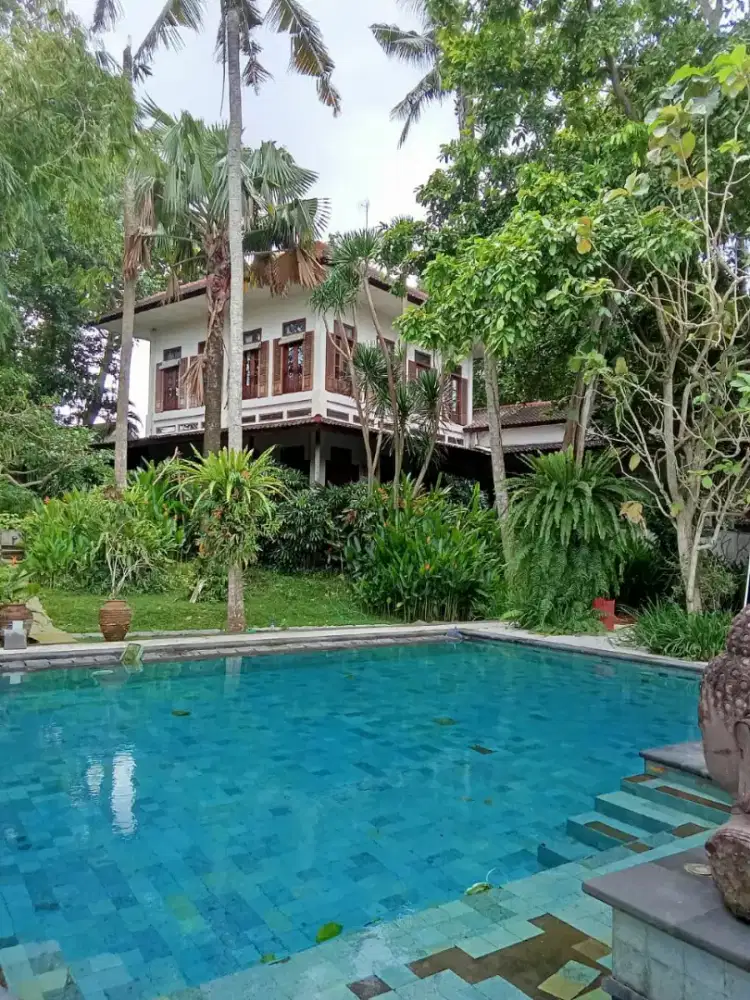 DiJUAL DIBAWAH PASARAN 25ARE,ISI 3 VILA TUMBAK BAYUH NEAR CANGGU BALI