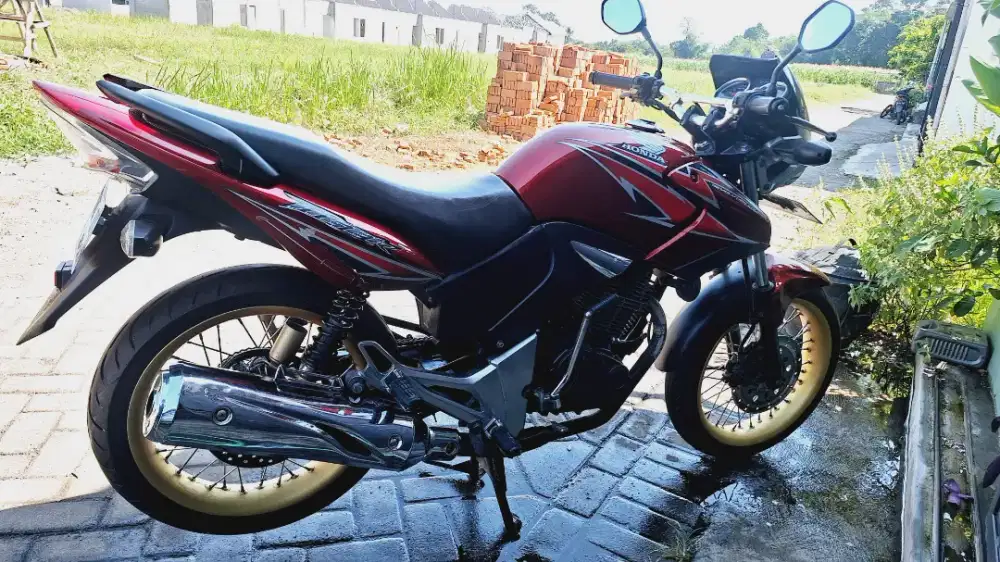 Tiger revo 2010