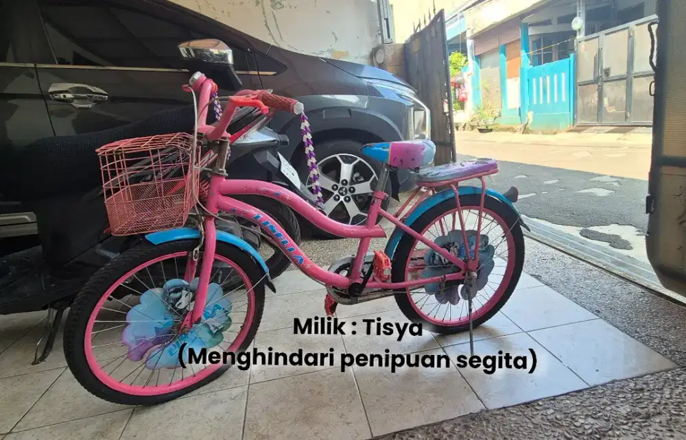 JUAL SEPEDA ANAK PEREMPUAN 20 INCHI