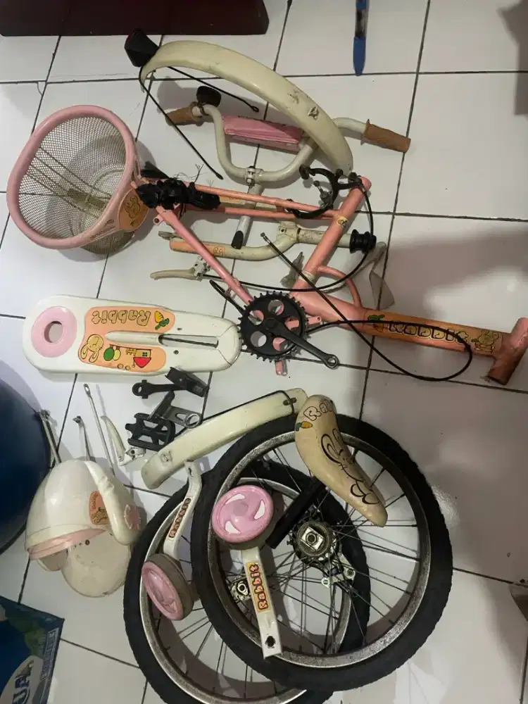 Sepeda anak cewek