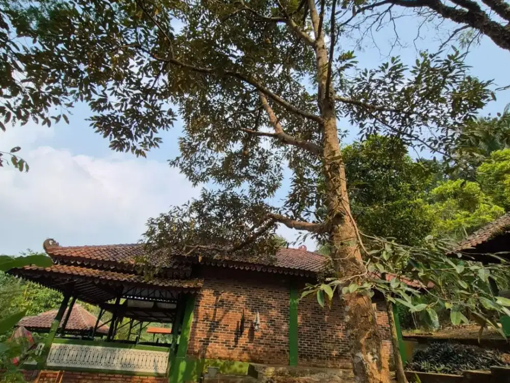 Jarang Ada! 1 Hektar Tanah Strategis Pandeglang, Ada Villa & 35 Pohon Durian