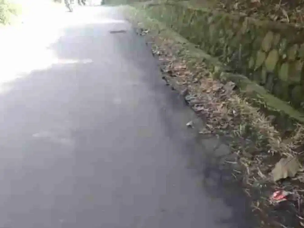 Dijual Lahan Kebun Jati di Cijeruk Bogor