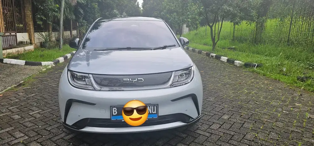 BYD Dolphin 2024 Listrik