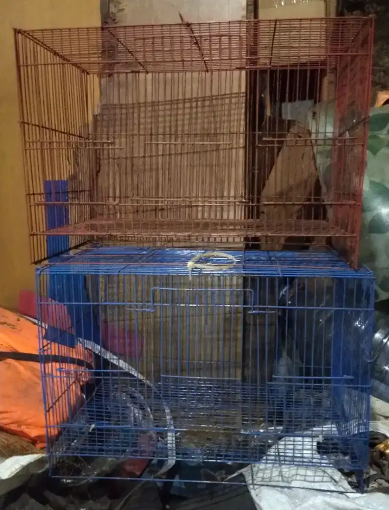 Kandang lovebird parkit lokal