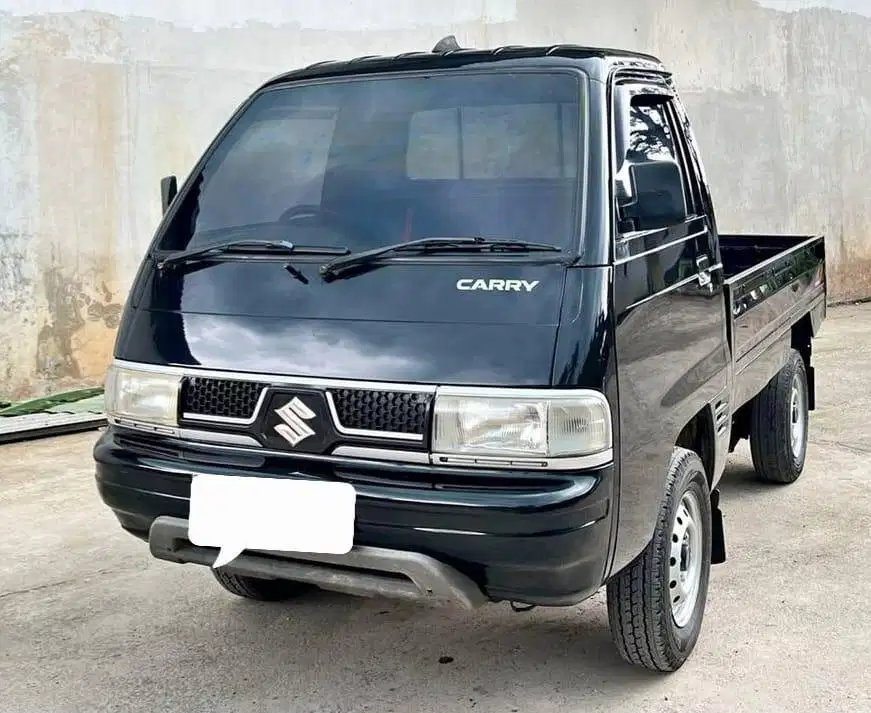 Carry futura pick up 2019