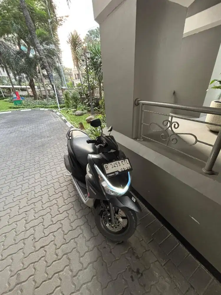 FREEGO 2023 MULUS