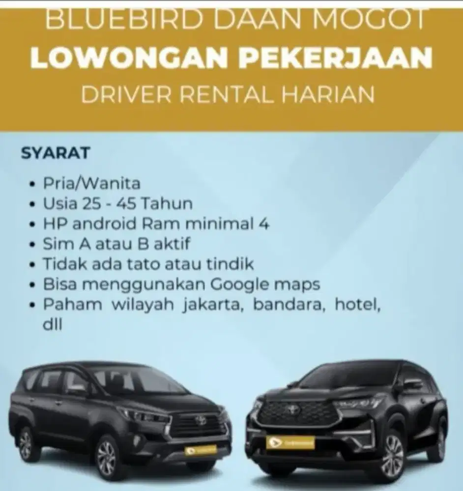 Pengemudi profesional