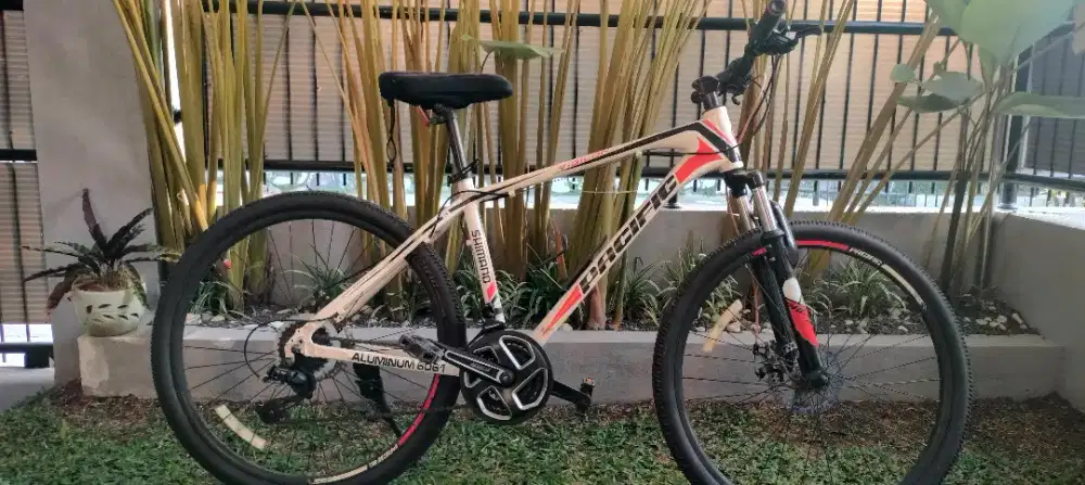 MTB Pasific Vigilion 2.0