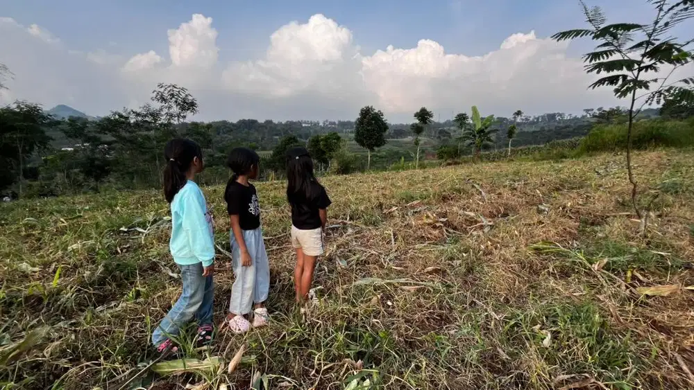 JUAL TANAH SHM 3.559 M2 DEKAT MESJID PERADABAN PERCIKAN IMAN 300ribu/M
