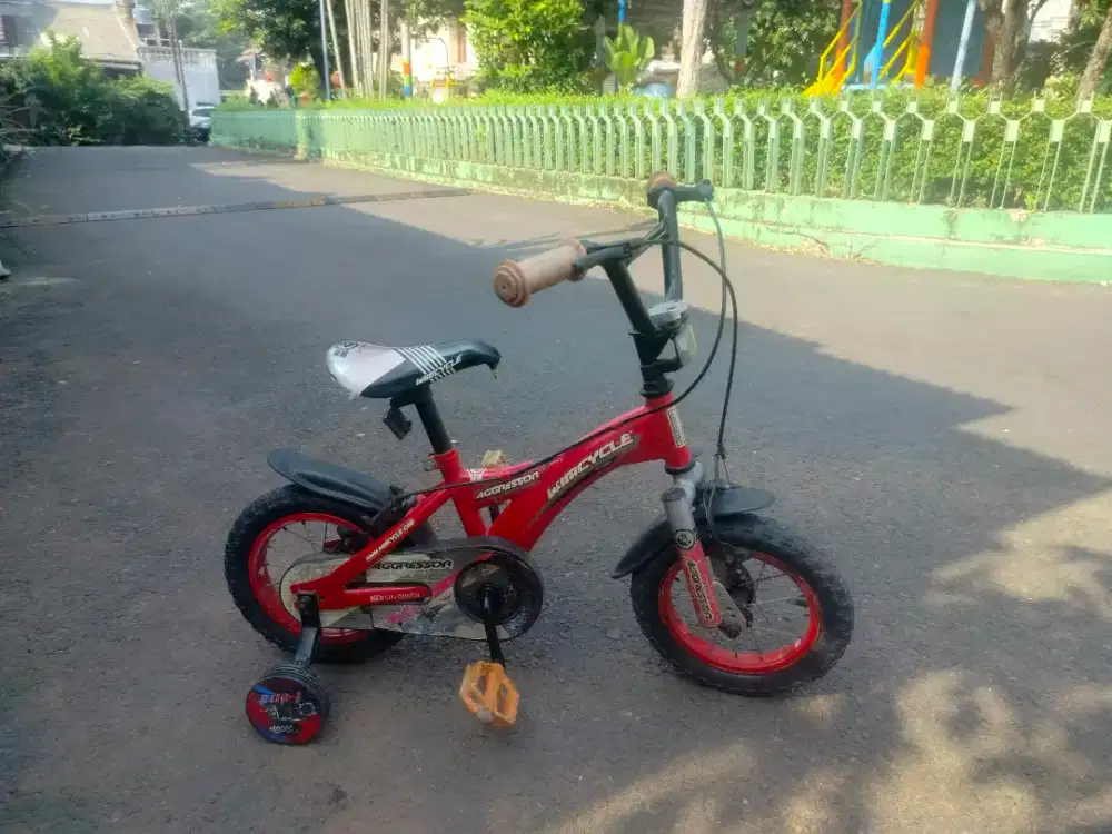 Sepeda WimCycle Anak
