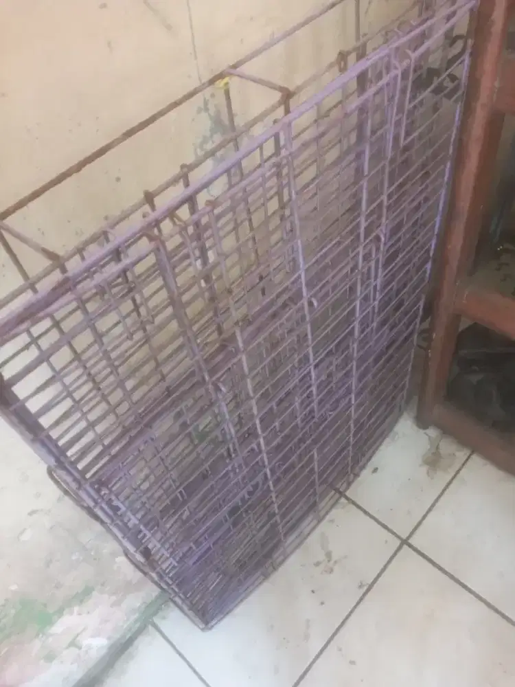 Kandang kucing dll...
