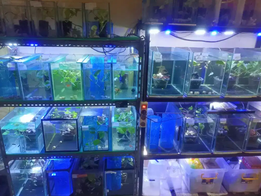 Tank/akuarium bekas pakai