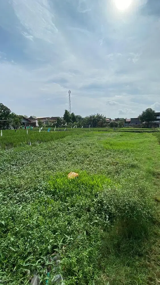 JUAL TANAH BTN PACCINONGANG HARAPAN