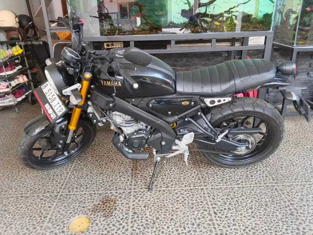 Yamaha Xsr 2024