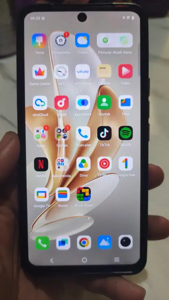 Vivo v29e 8+8 / 256 gb