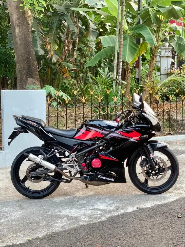 NINJA RR NEW 2014
