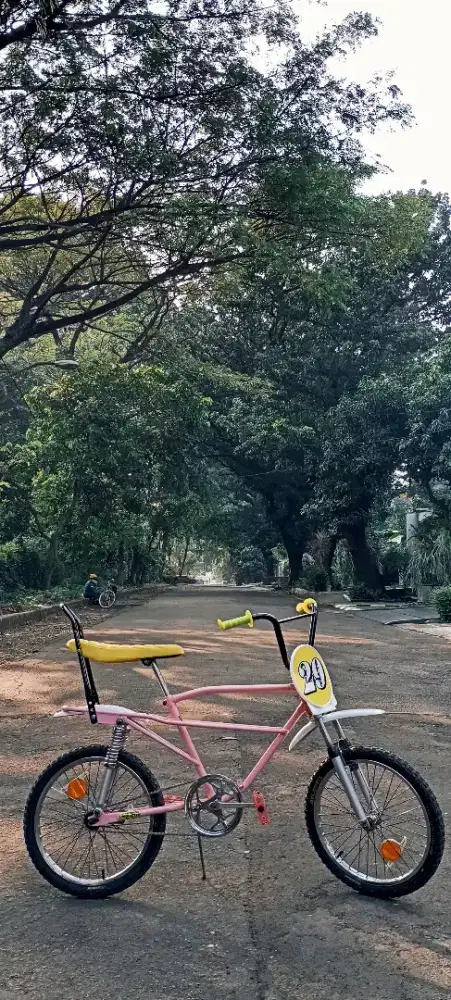 Bmx motobike ring 20