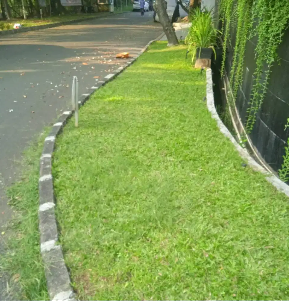 OB / CLEANING SERVICE