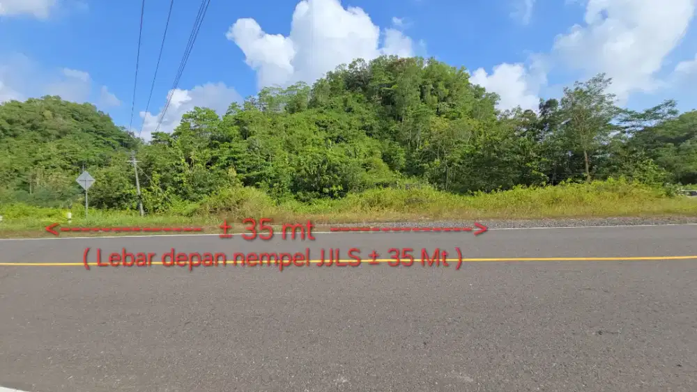 Tanah Prospektif Nempel JJLS Kecamatan Tepus