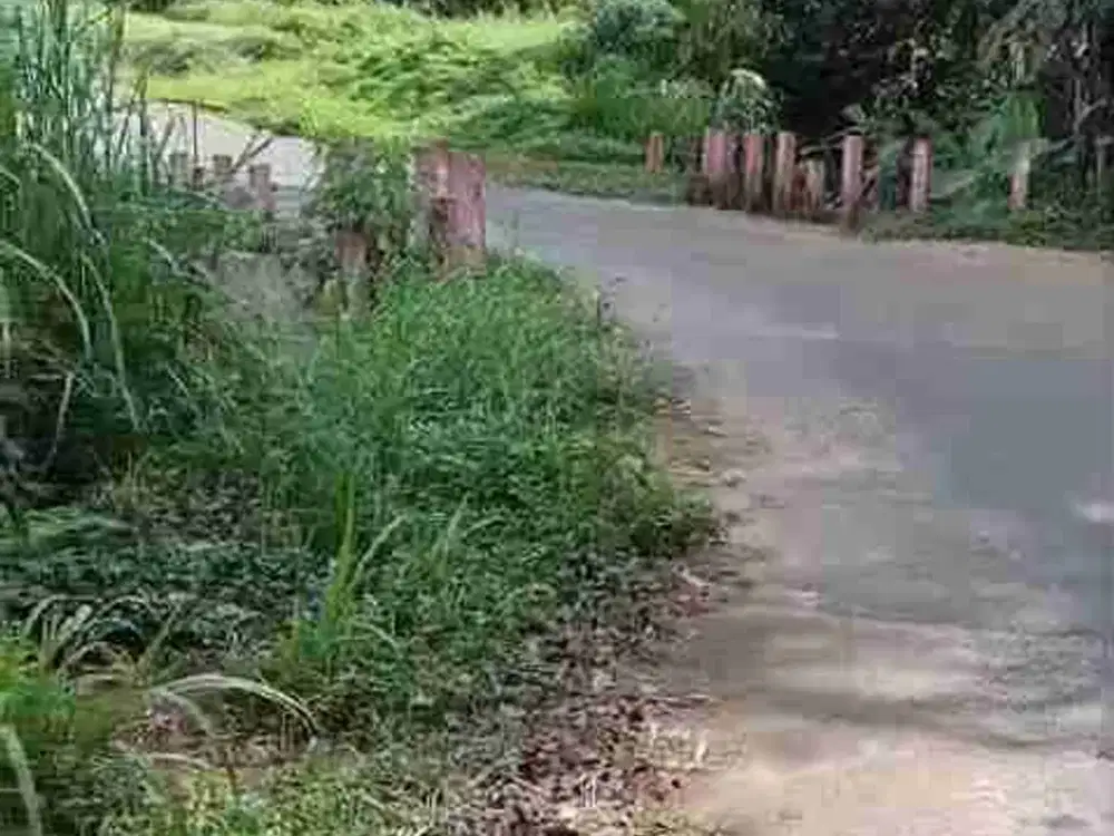 Di jual pekarangan perkebunan durian murah trawas