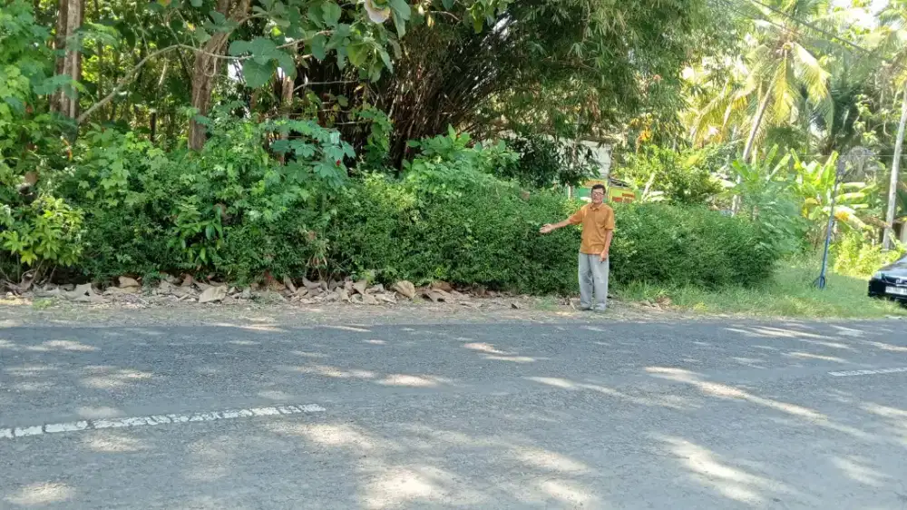 Jual tanah di Panjatan Kp