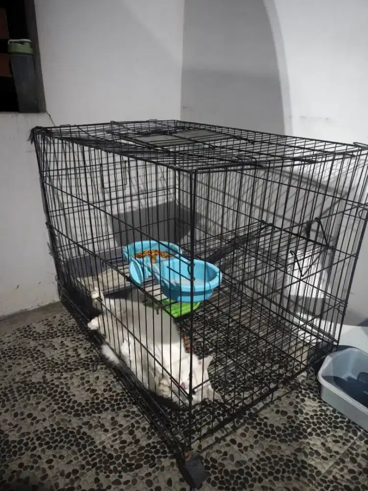 Kandang Kucing Besar Lipat Besi Hitam + Roda