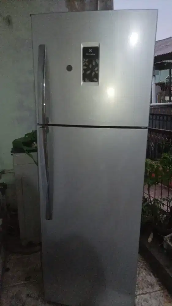 kulkas 2 Pintu Electrolux Deo Fresh