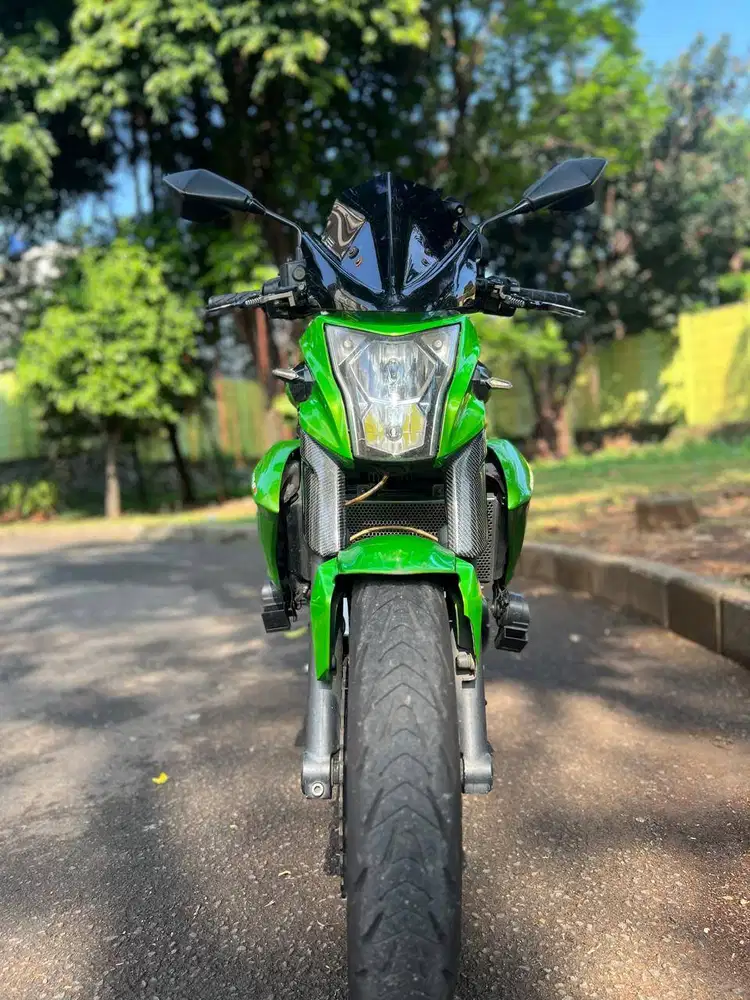 KAWASAKI ER6N nik 2012 (fullpaper) pribadi