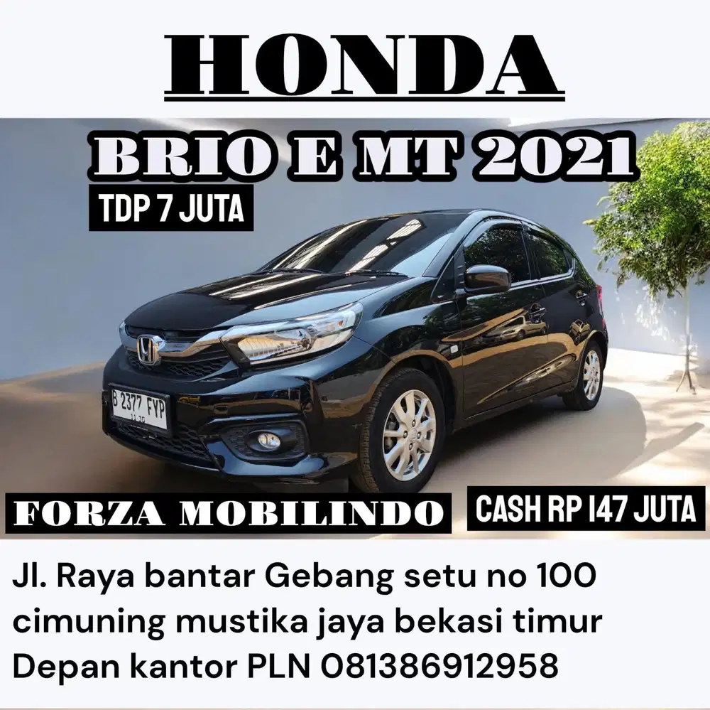 BRIO E MT 2021  DP MINIM