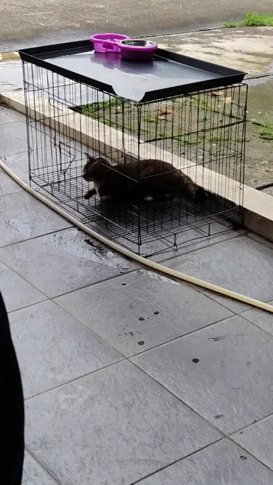 KANDANG KUCING XL