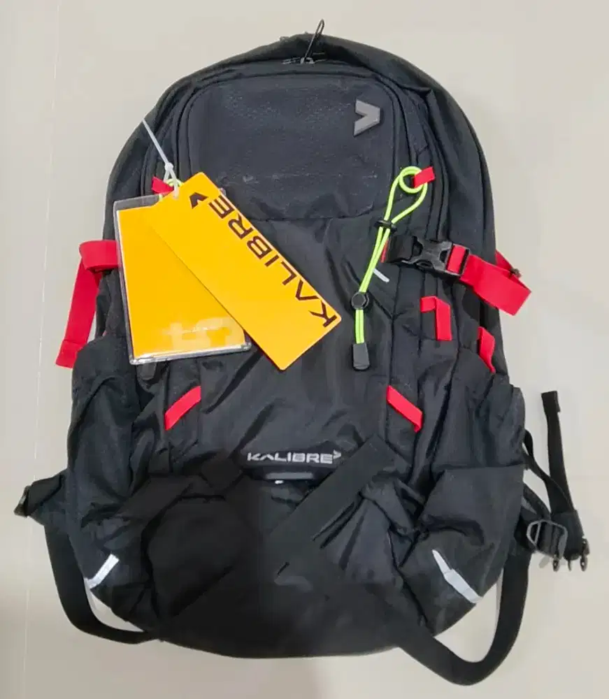 Backpack/Carrier