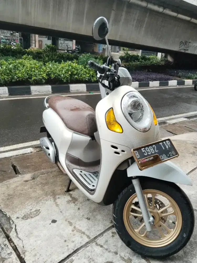 Honda scoopy prestige