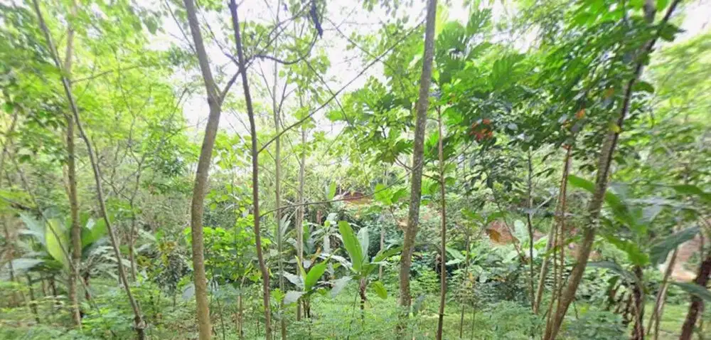 Jual Tanah Desa Depok Kecamatan Darangdan