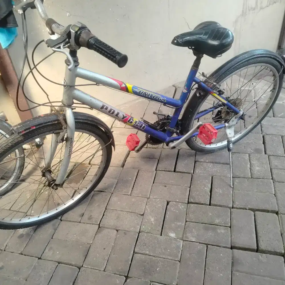 Sepeda Polygon unitoga cewek